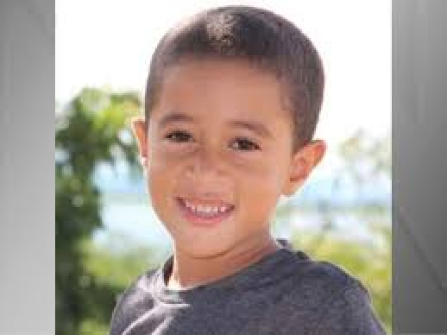 Após quase 4 anos desaparecido, polícia conclui que menino Davi se perdeu na mata e morreu de causas naturais na Bahia