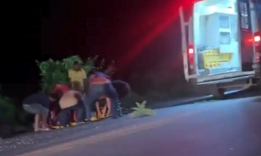 📰 Acidente é registrado na BR-407 em Filadélfia após cachorro invadir a pista